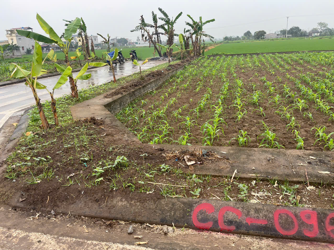 z6953740953518_b4794f32e223f65a7b3010f731abeafc