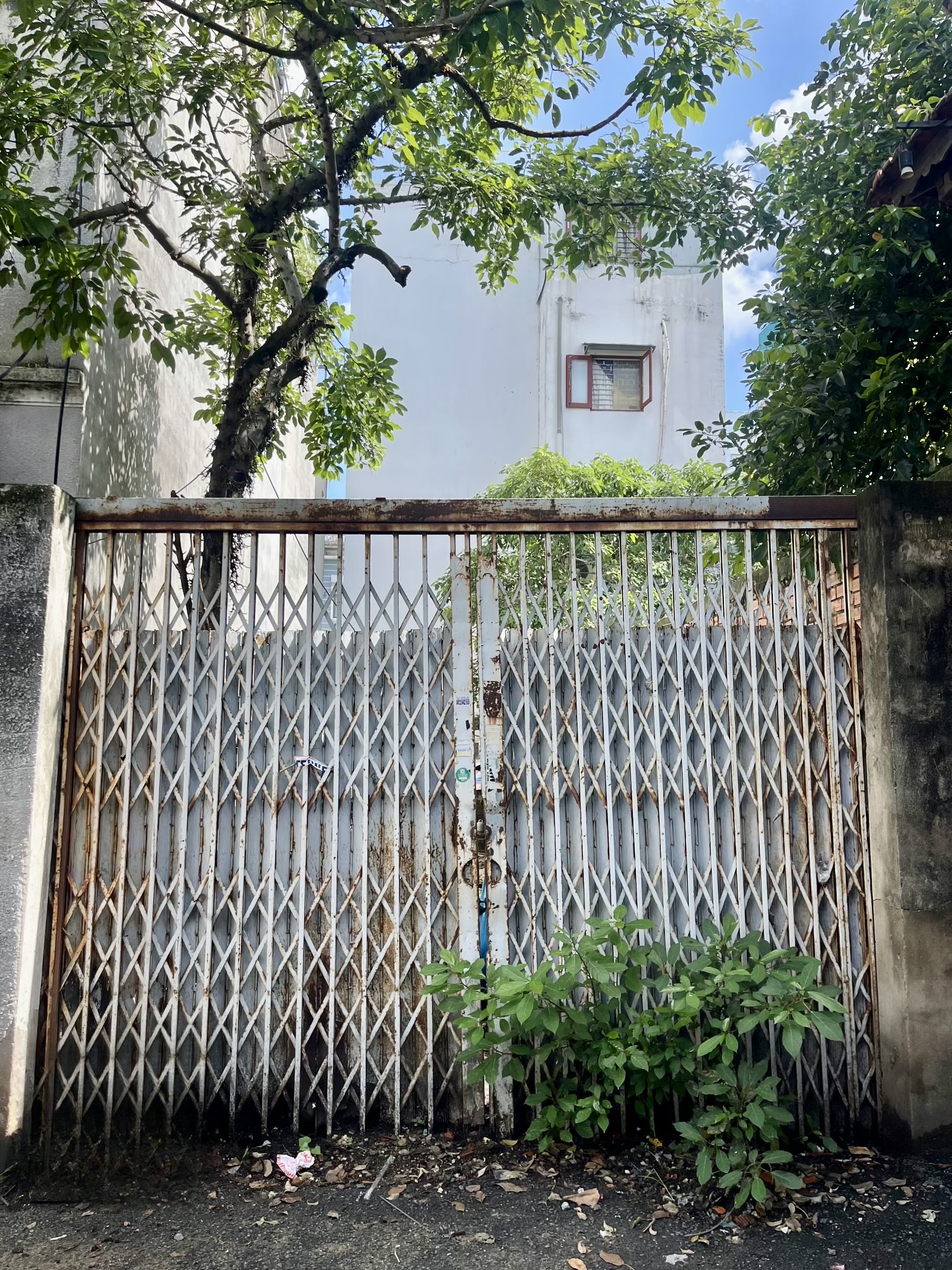 z6953818701443_531939093d868f2f62467cb81908281b