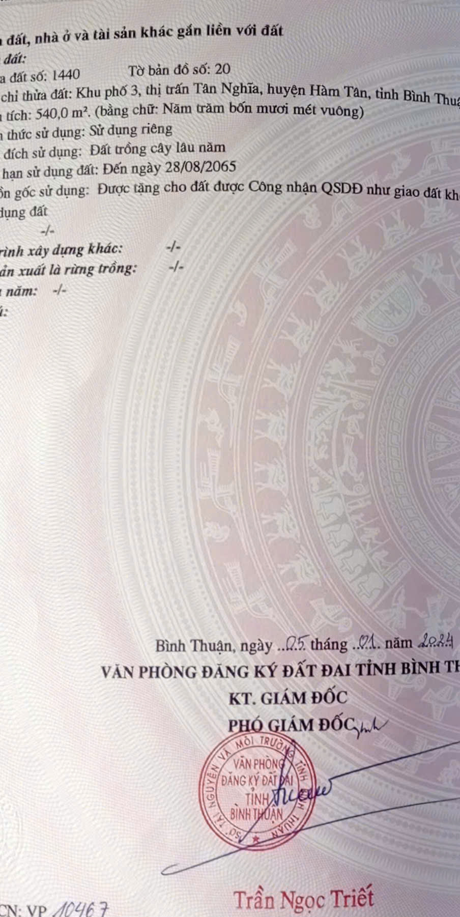 z6955091014893_e7e7d4727320cc082269c64f42ad7254