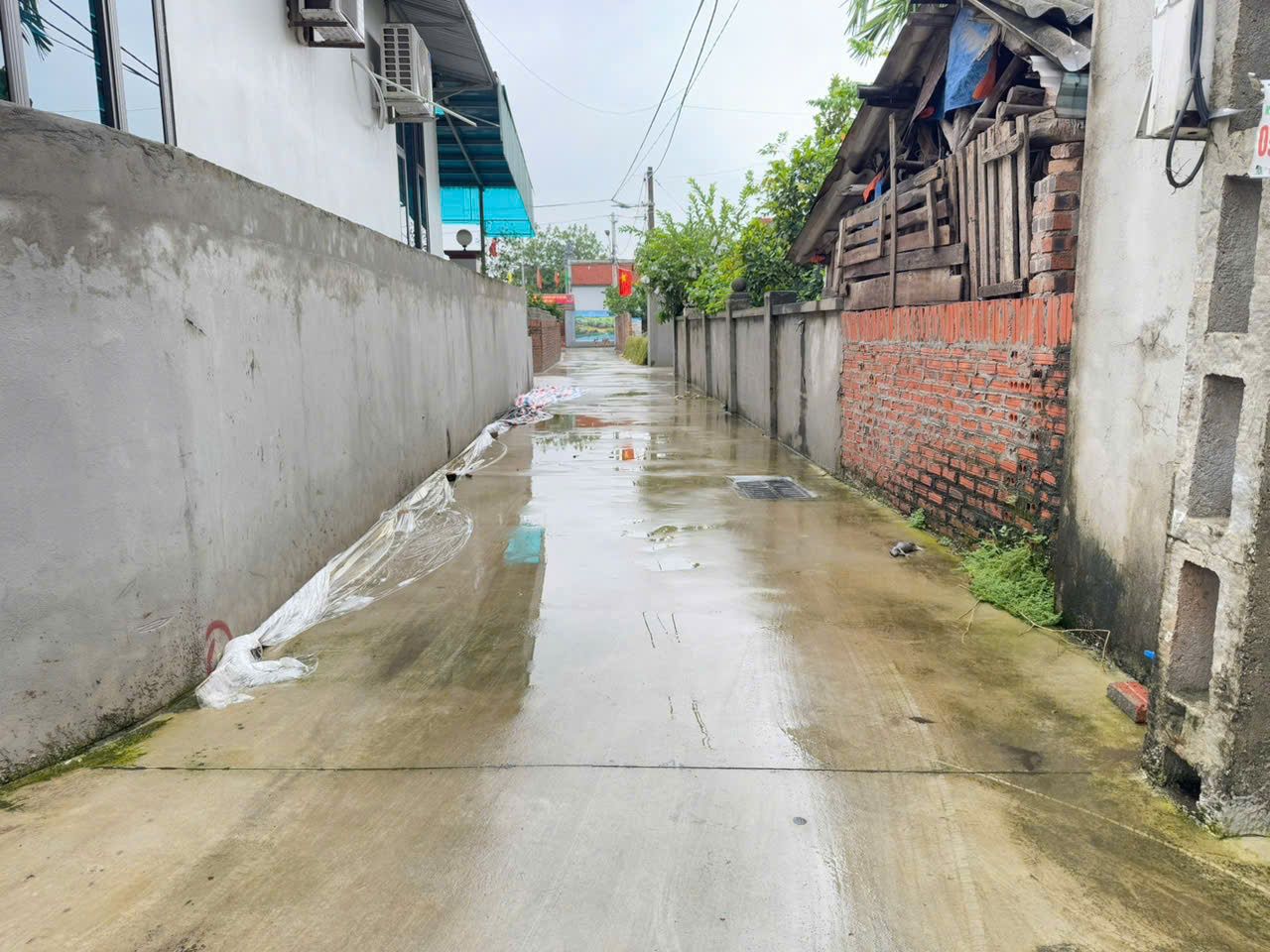 z6955169825180_83cc912117ee499eec442cc89b080abb