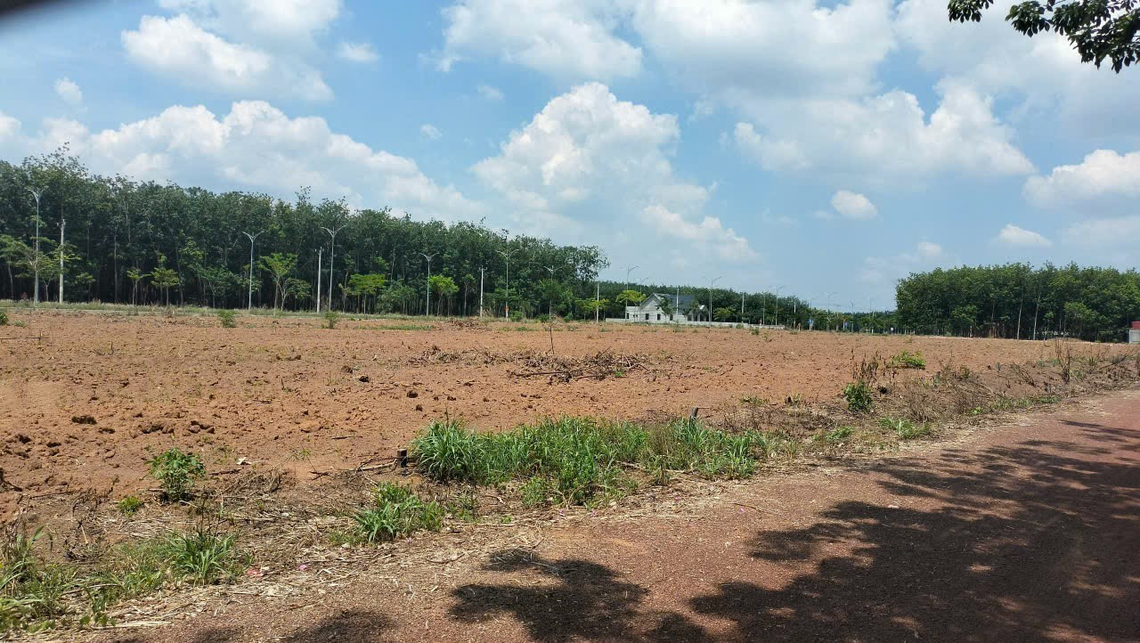 z6958567430812_e237fbe44d36a1825cef331fc1045922