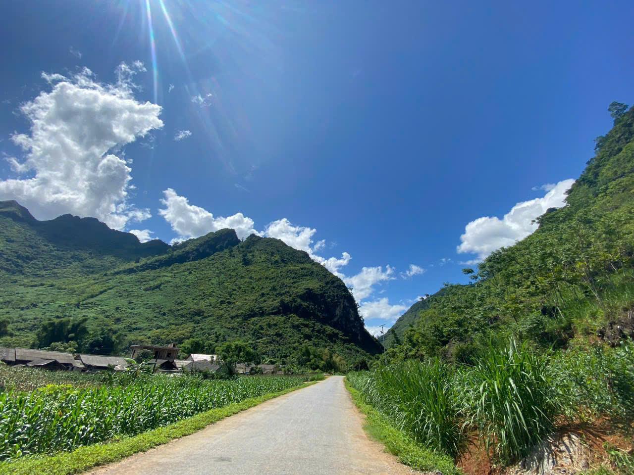 z6959915472532_1b4205a092432562549e37cf4f883d9e