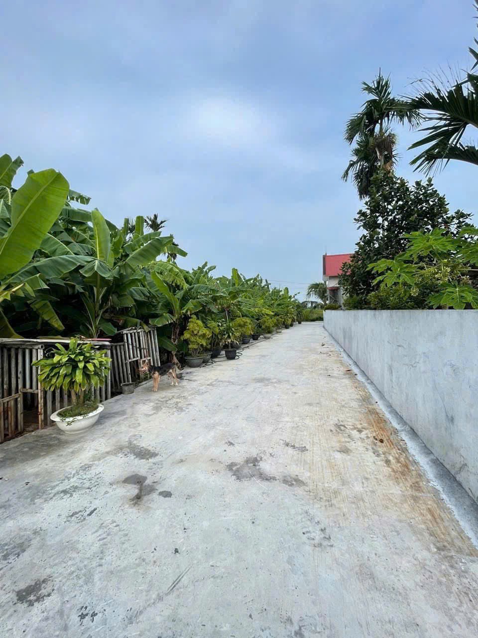 1fa447863e9db4c3ed8c181