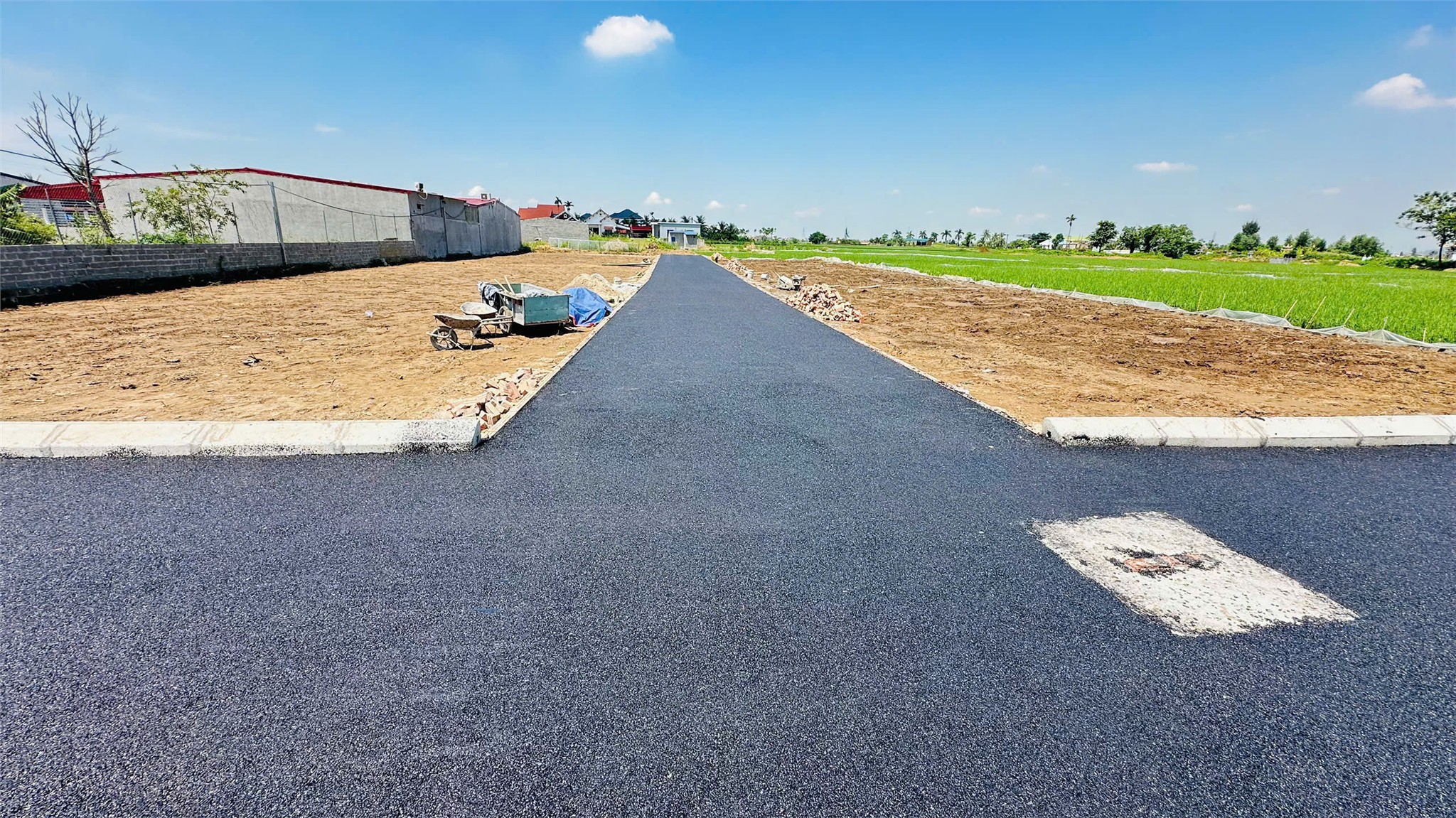 25a495fff60c7d52241d49