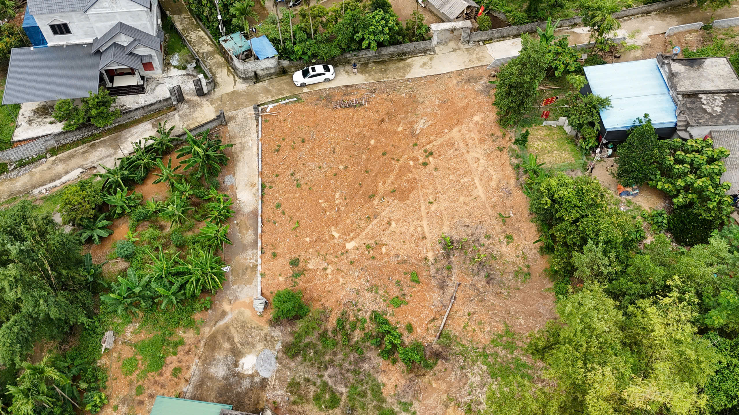 3252758238712133435 (1)