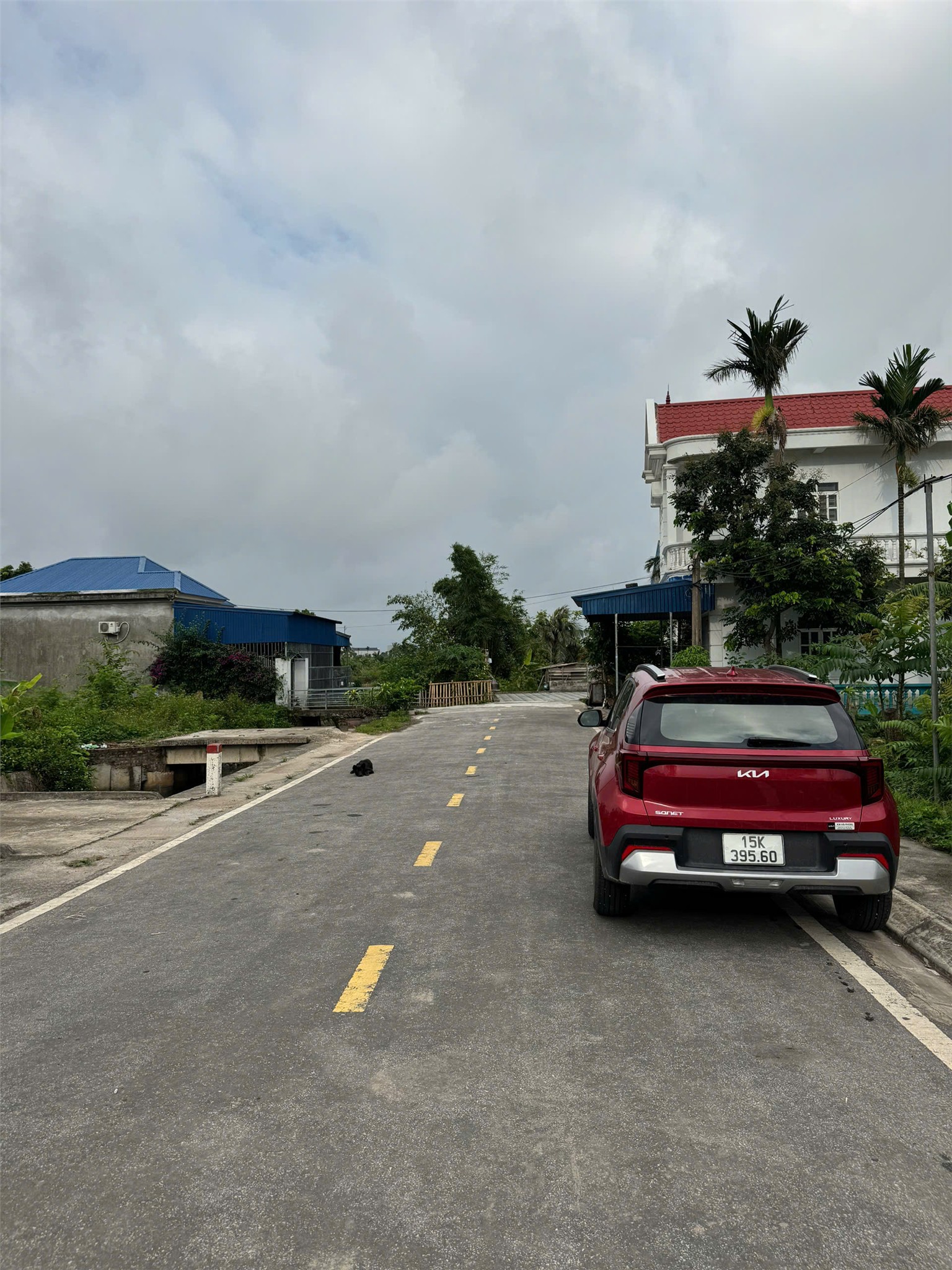 49039625b93932676b2821