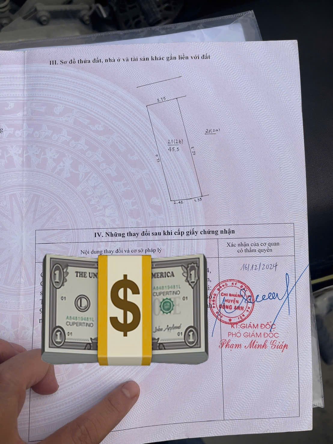 534704302_122177178038569129_8235544916242652163_n