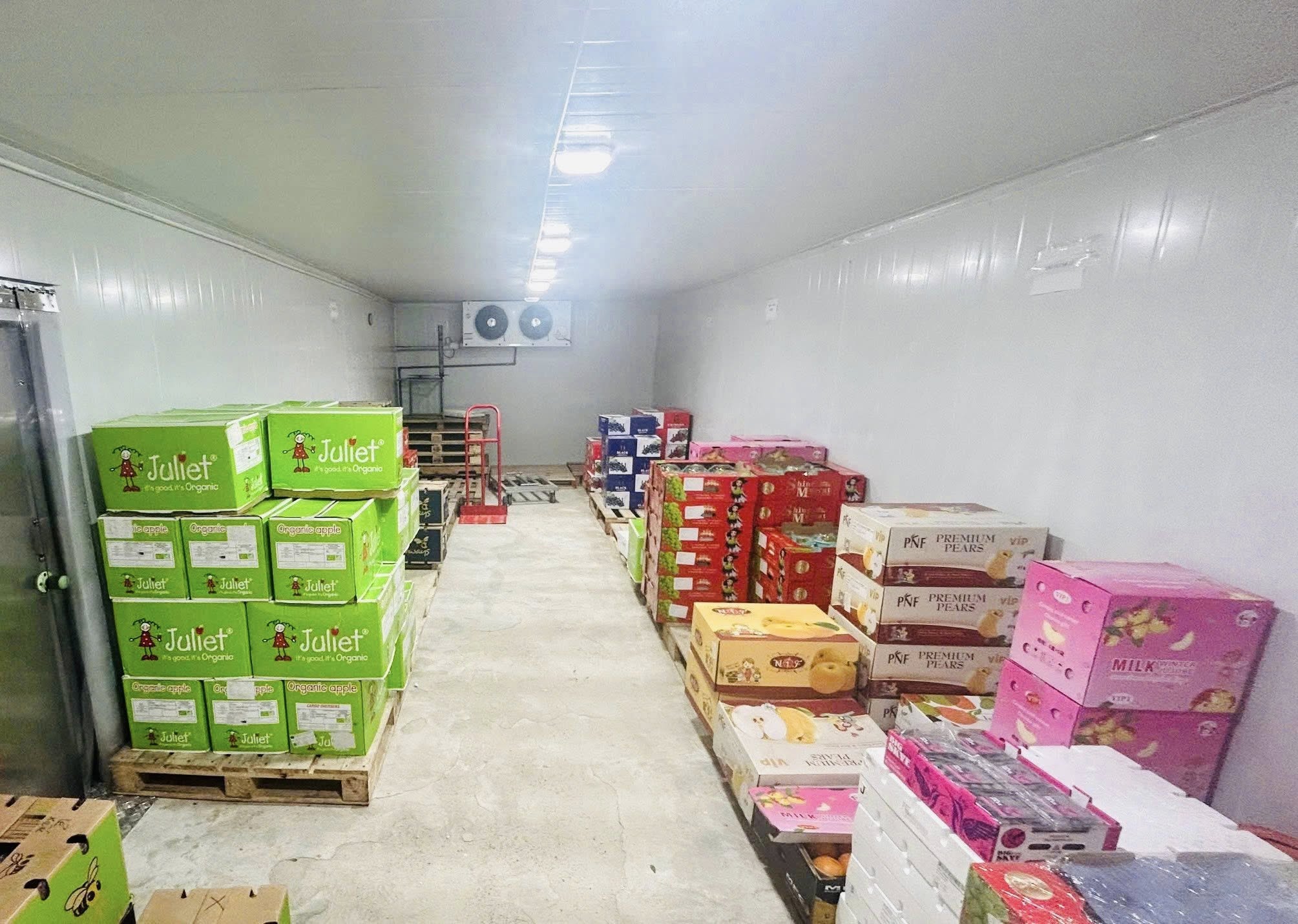 545145241_1606104954131534_9050811756776996078_n