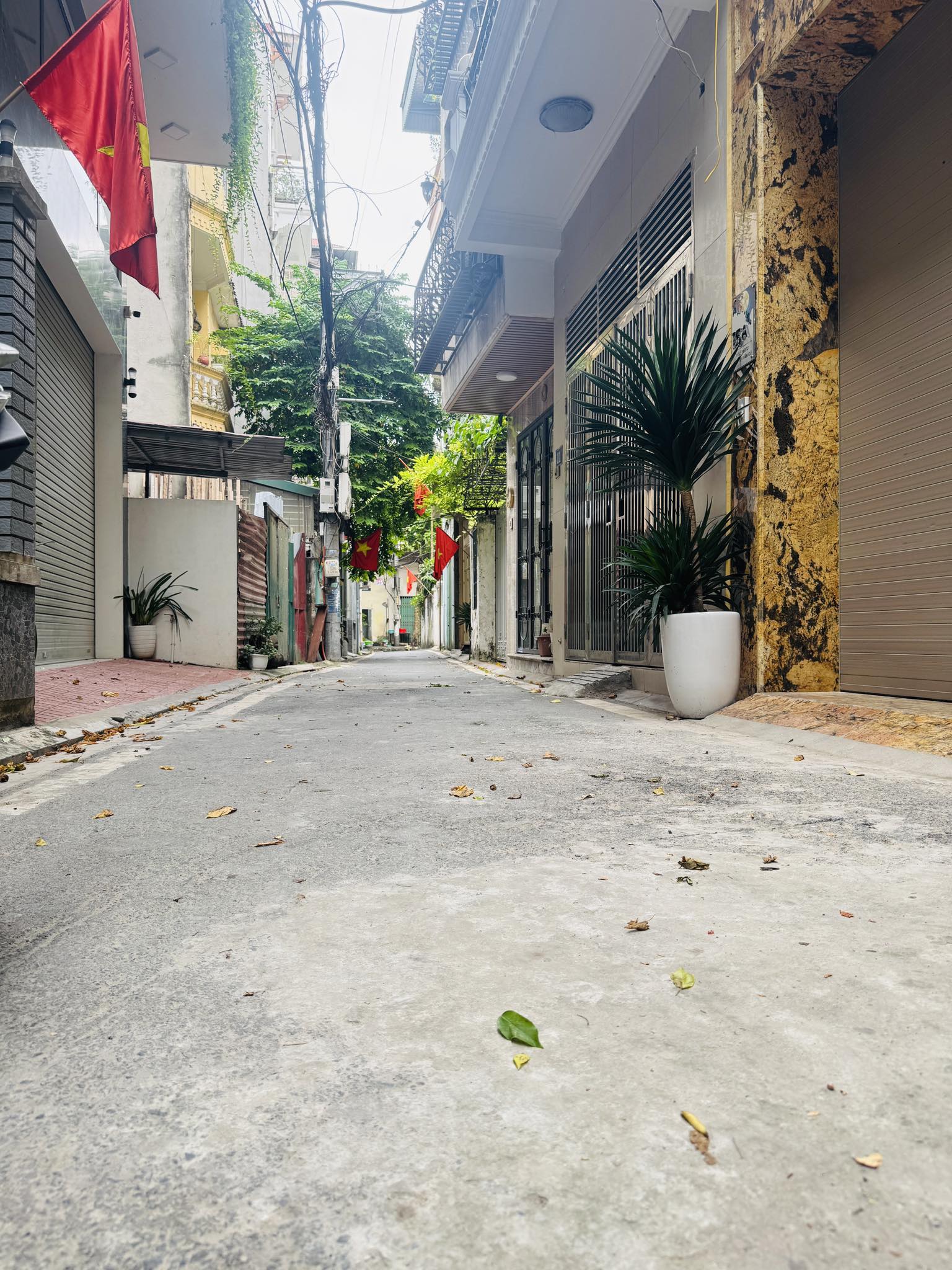 545351270_122149479836771560_1401632773247258287_n