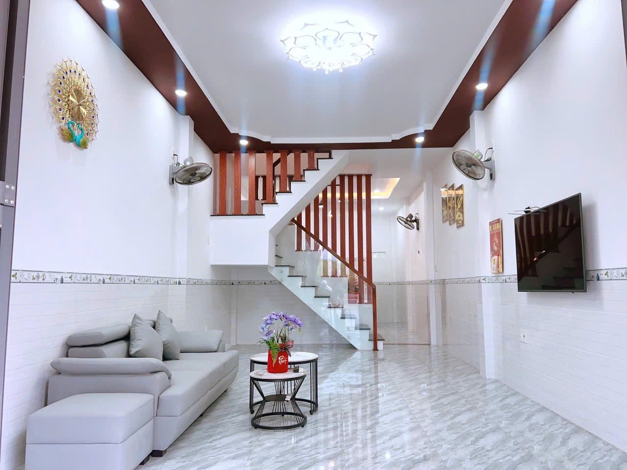 546409105_4509781866013735_4374006207179443647_n