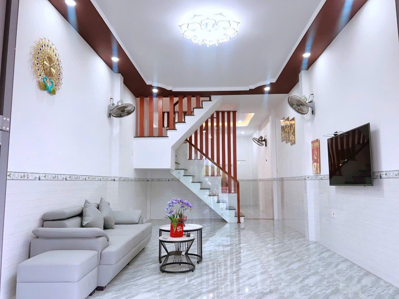 548239665_1313445697028737_43193581223903242_n