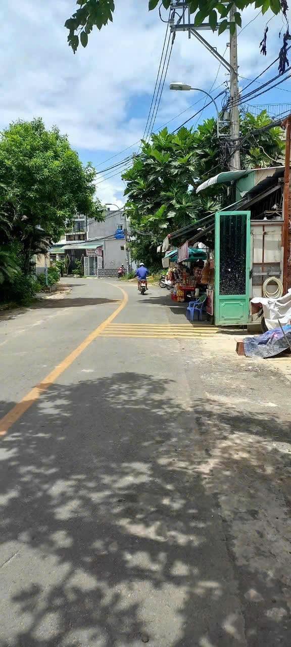 548642876_1159820249361885_8670686417744517387_n