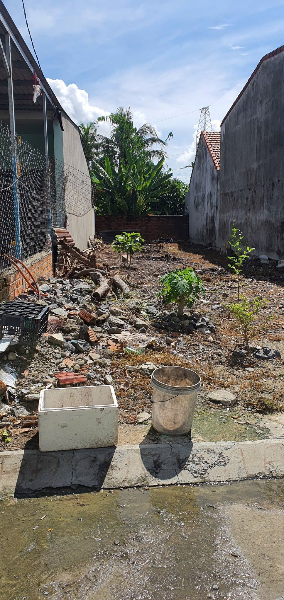 550217698_4517318008593454_7872451563455877725_n