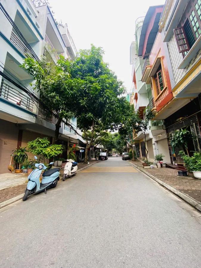 550461185_809951388384442_8019491213571159756_n