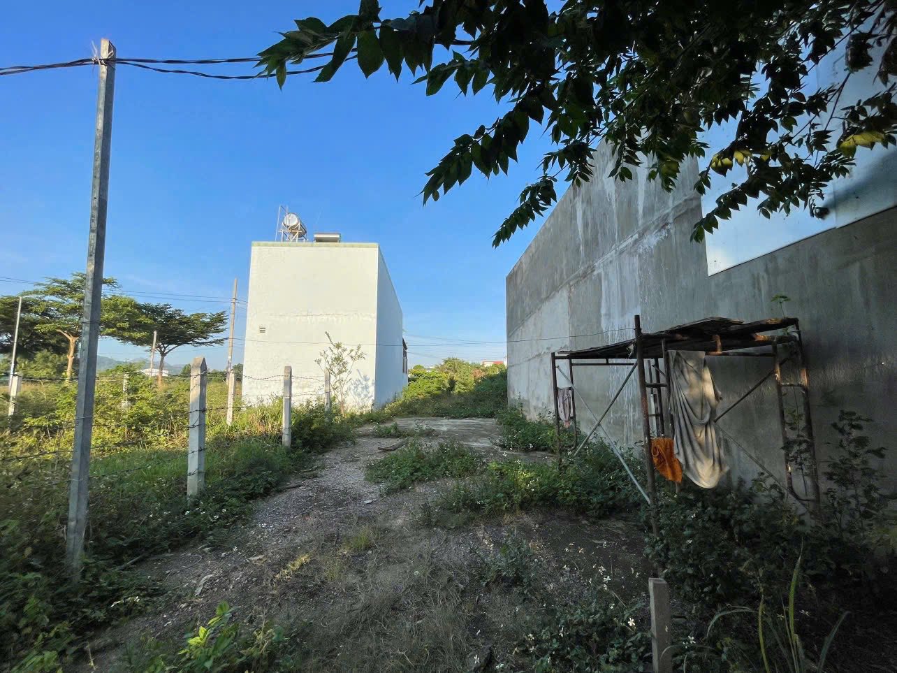 551212057_4517818985210023_5491474260362768954_n