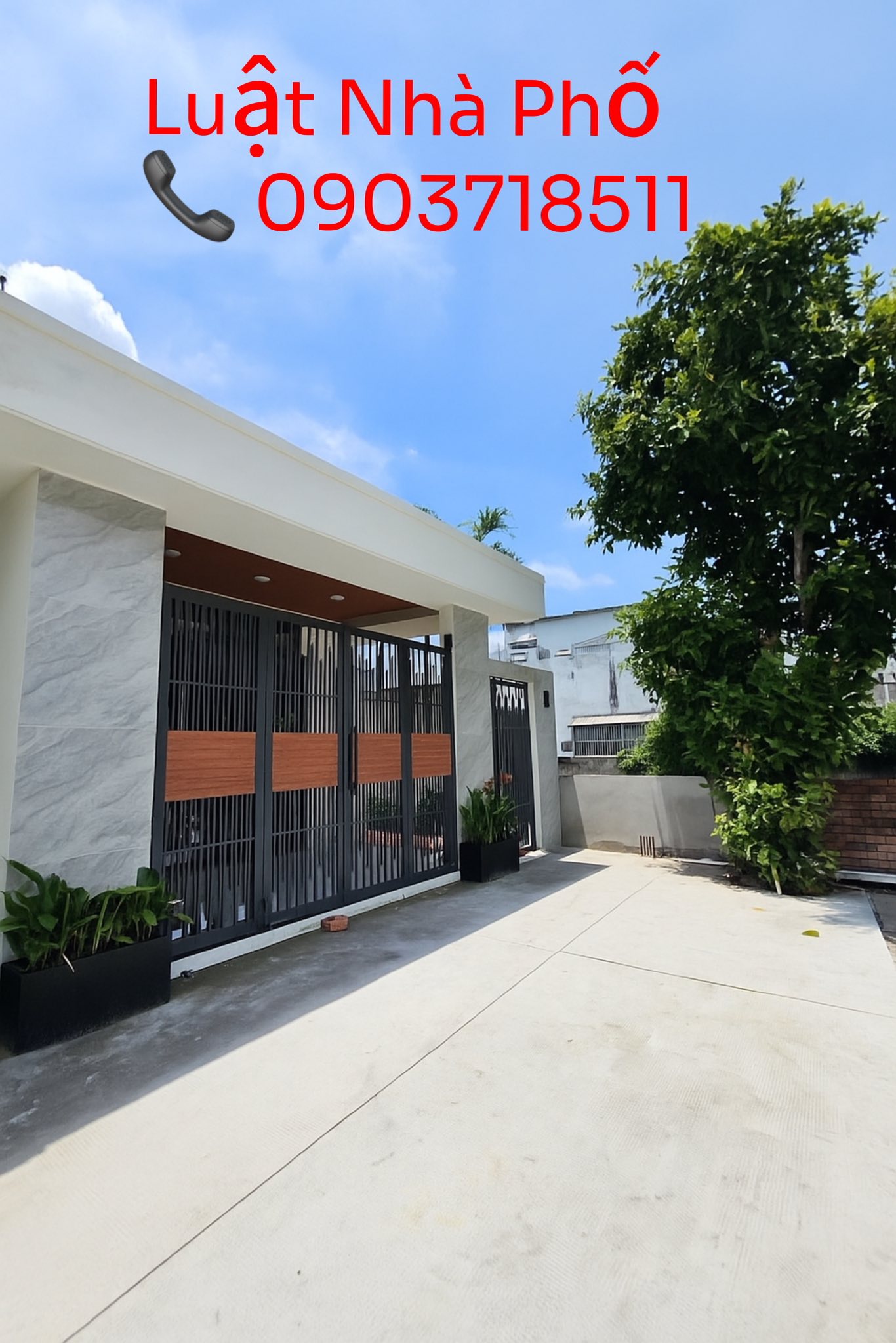 552823651_1165356218808288_908507256409625716_n