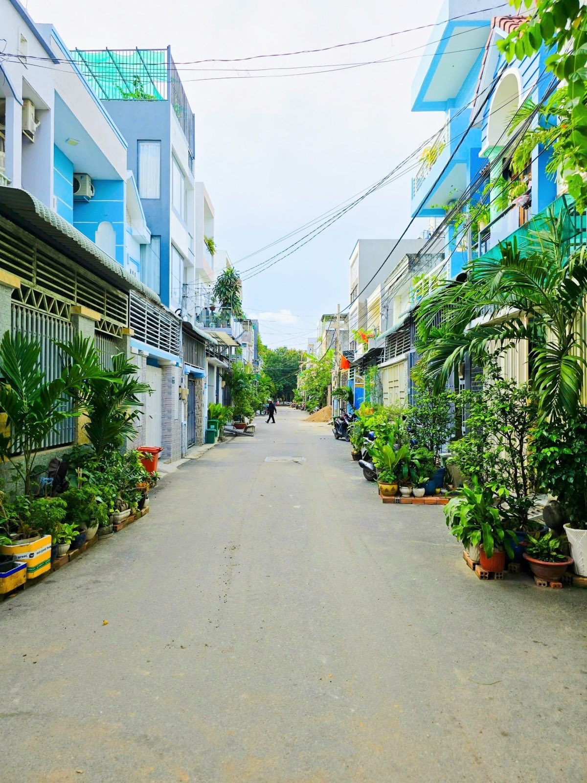 556008388_1169231651754078_2273880338877582541_n