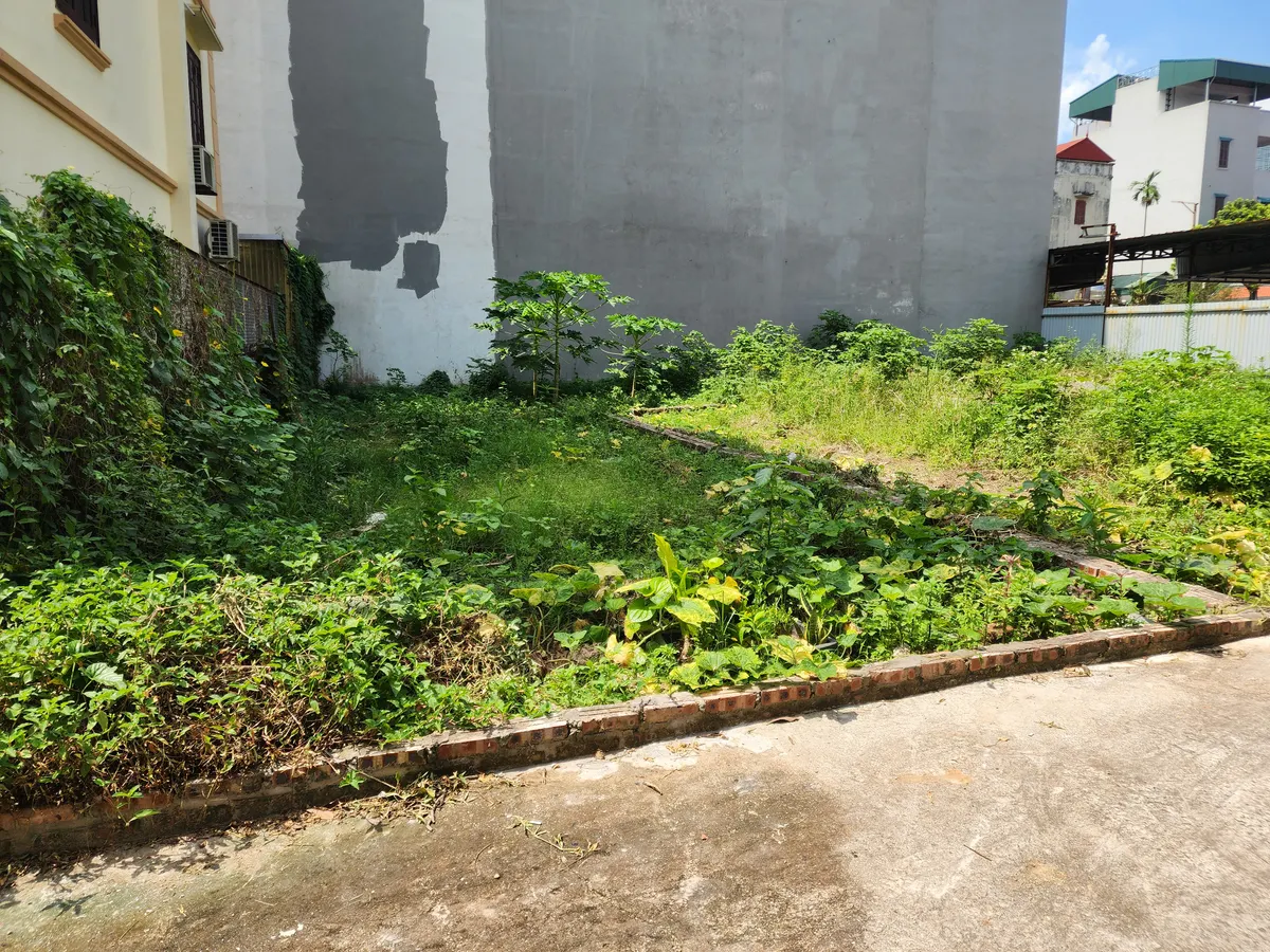 5f95b1dc-9dd1-52d9-88c1-5ca47e1ab304