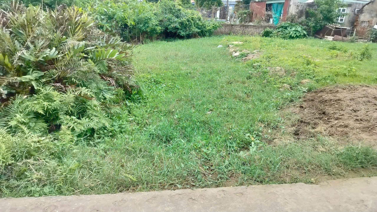 7fccd4658f8004de5d912