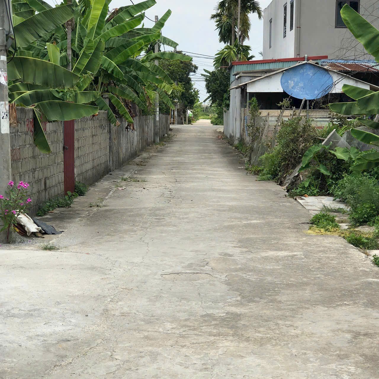 9770d9f8386eb330ea7f9