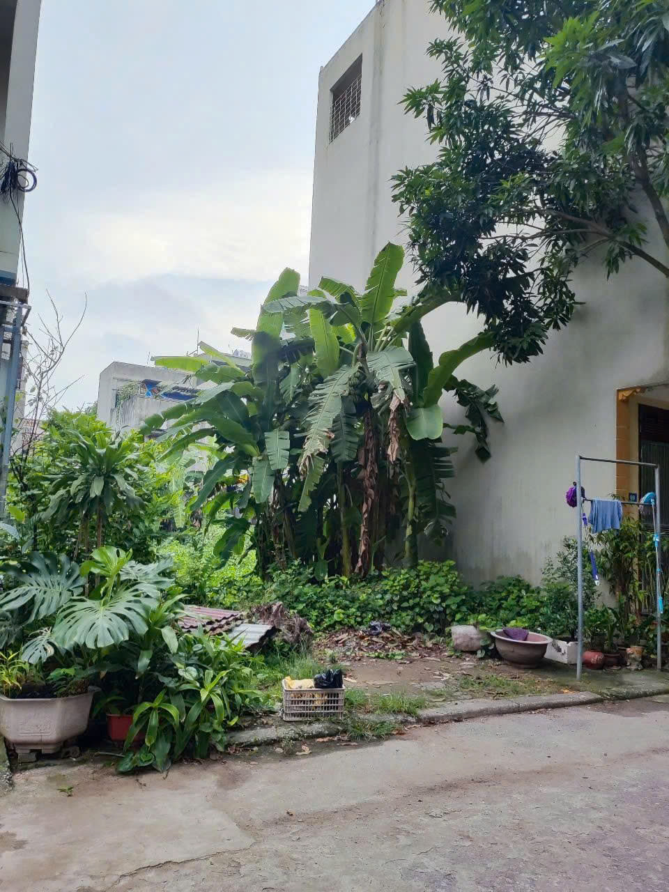 ANH DAT PHUONG NHI 26.7.25