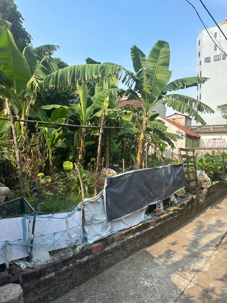 ANH DAT VINH TRUNG 191M 22.7.25.1