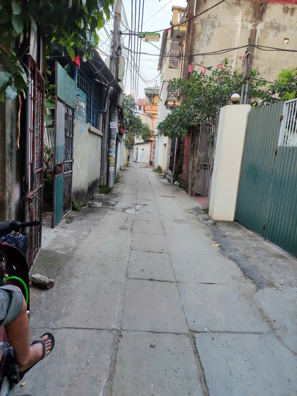 anh dat dai ang (4.5 ty) 30.7.25.1