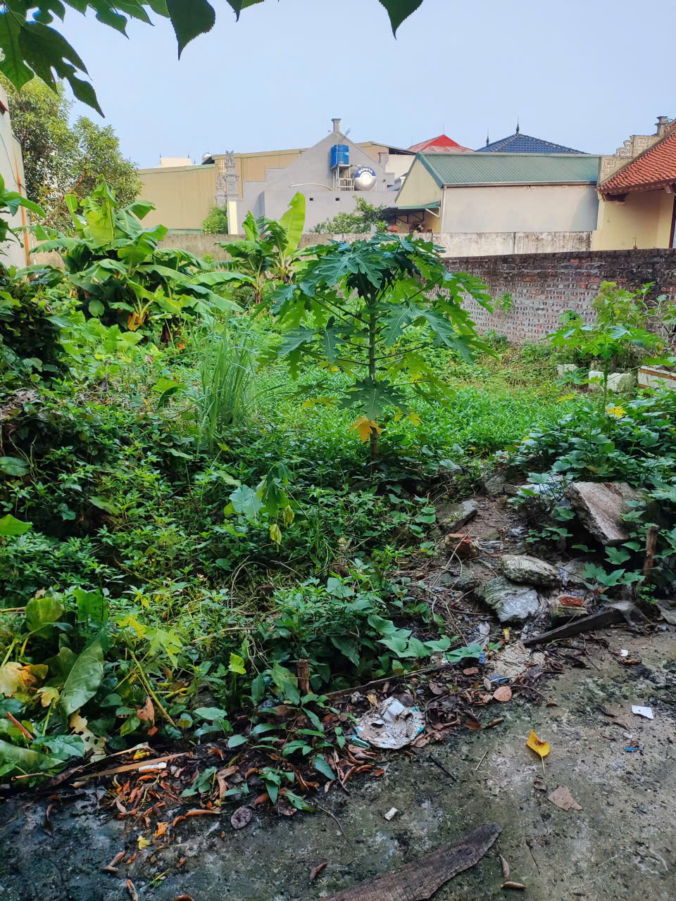 anh lo dat khanh van 117 mx7,8mt9(5,1 ty)