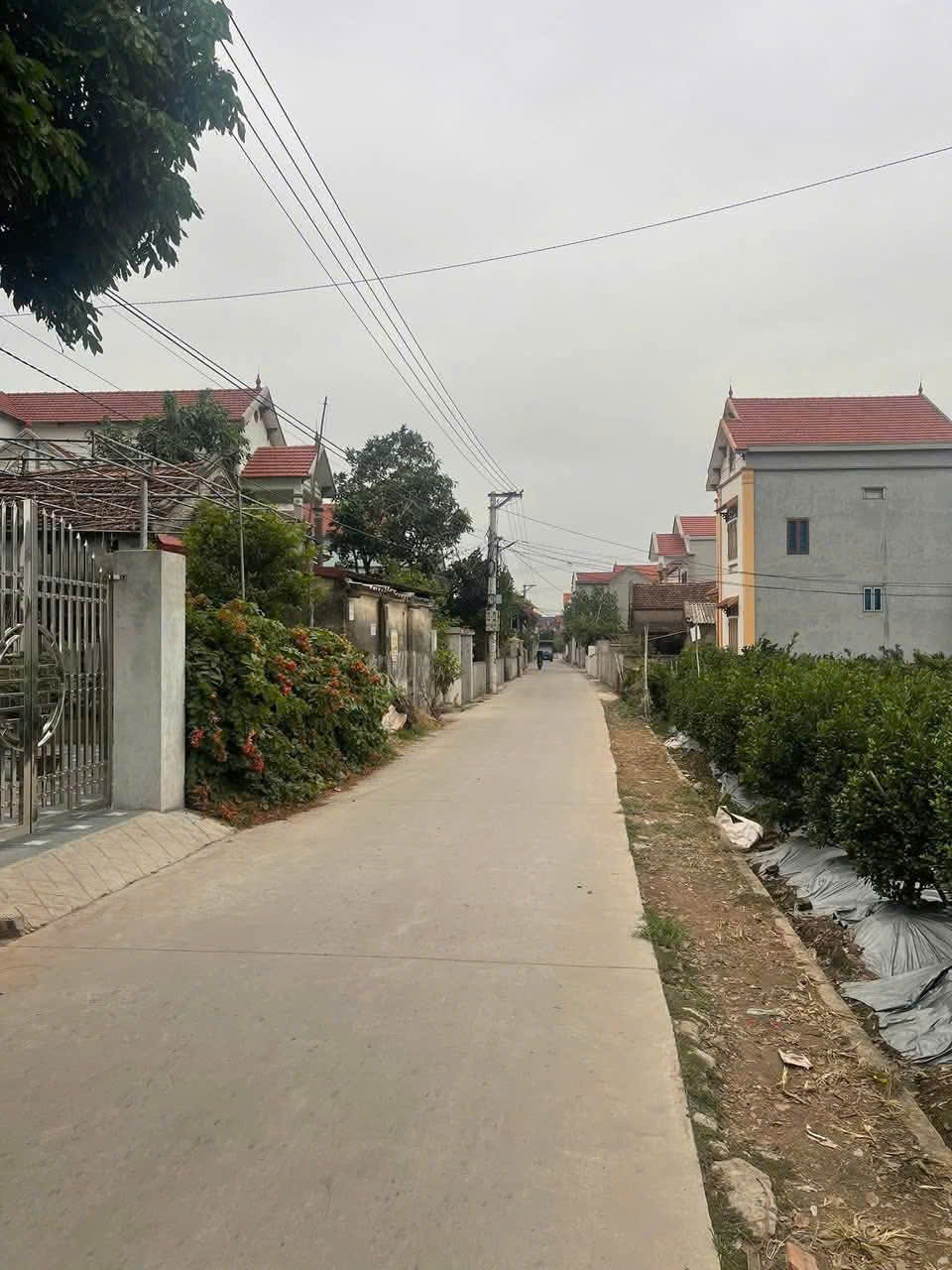 ban dat van giang hon 5 ty_0963139980_1