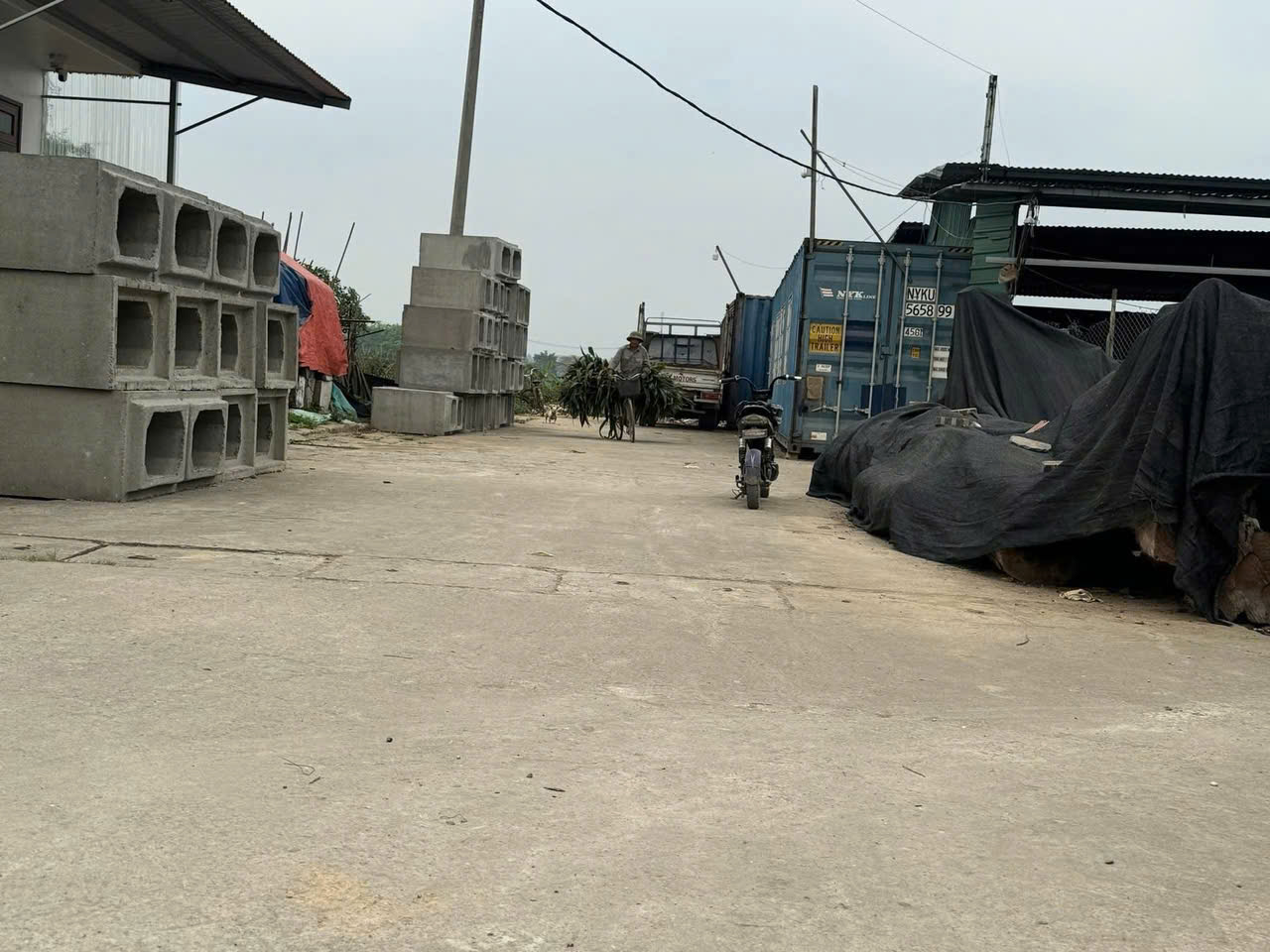 dat dau gia bac hong