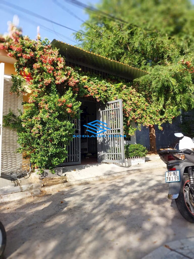 imgi_6_IMG_1337-768×1024