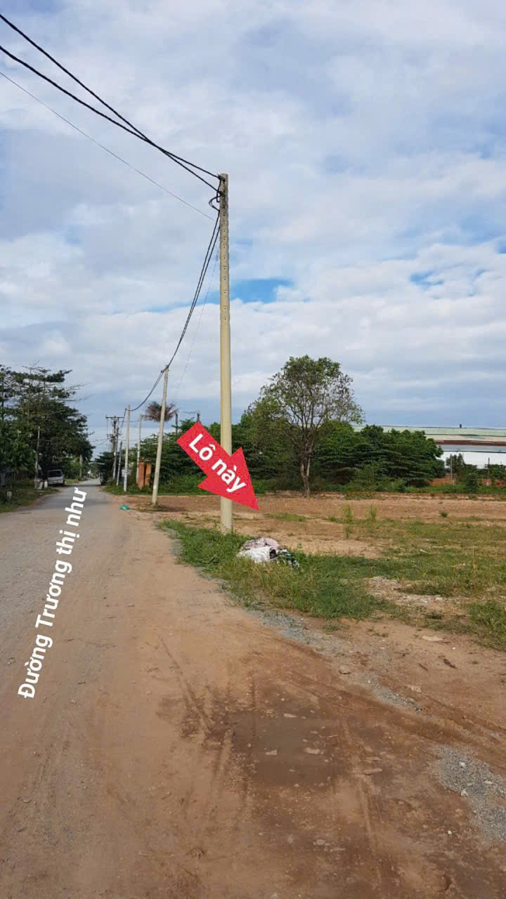 z1756866037558_003_0318addeaedcc5818767a94e8afc8a1d