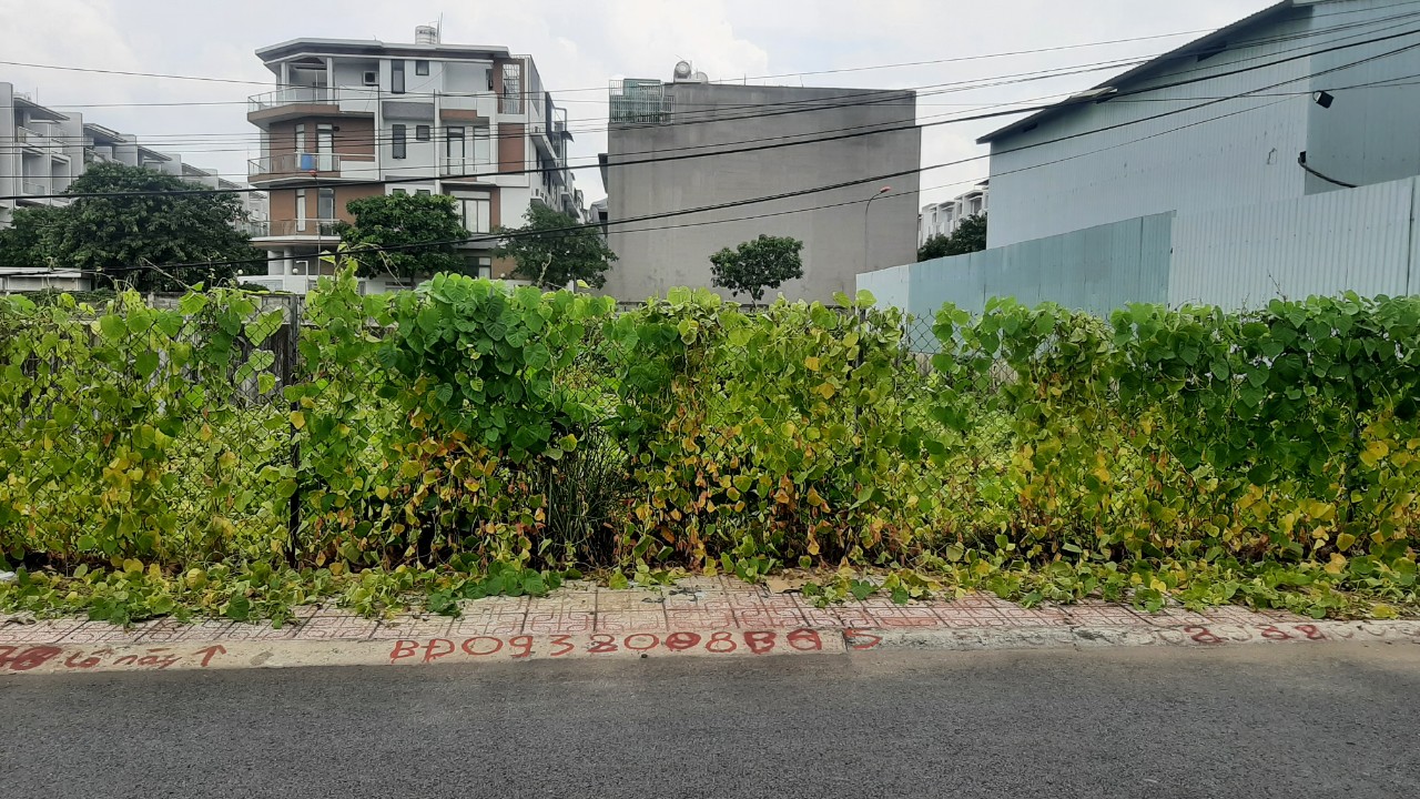 z2569257800508_0bca60dd6f2a16845ec8e1ce8b15f5f7