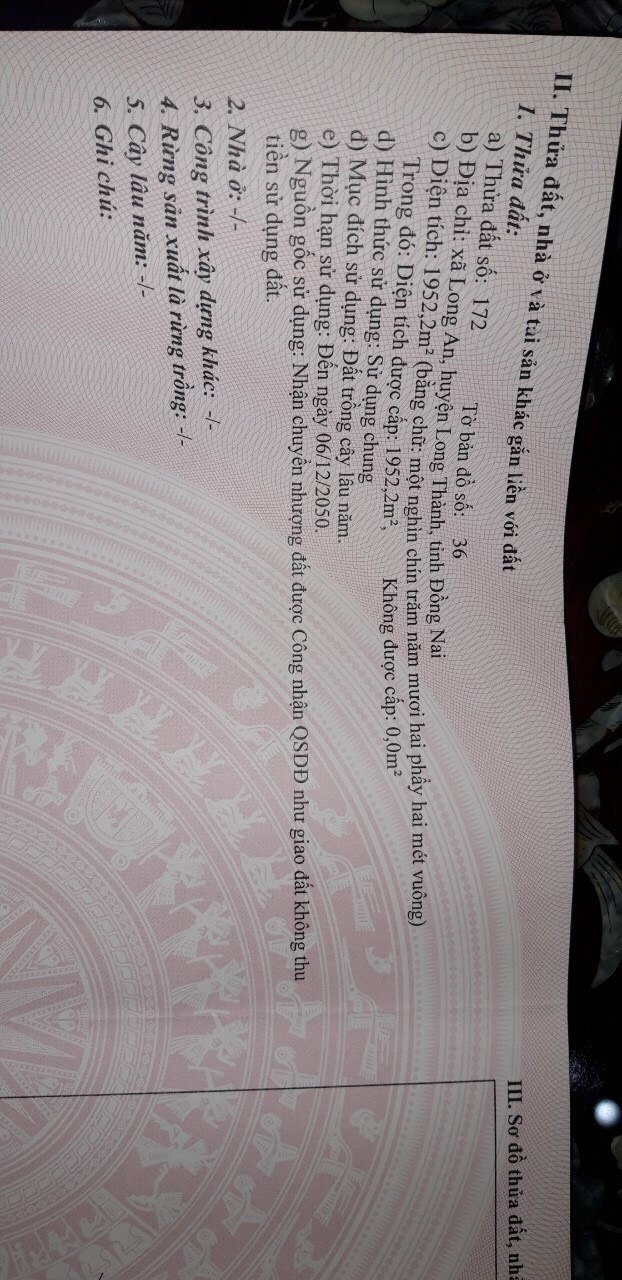 z3610600543411_194e788aca60042988c2dff459907051