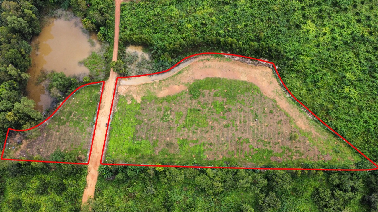 z3711994769809_9af3f85039a234d8fae1231d4860e892