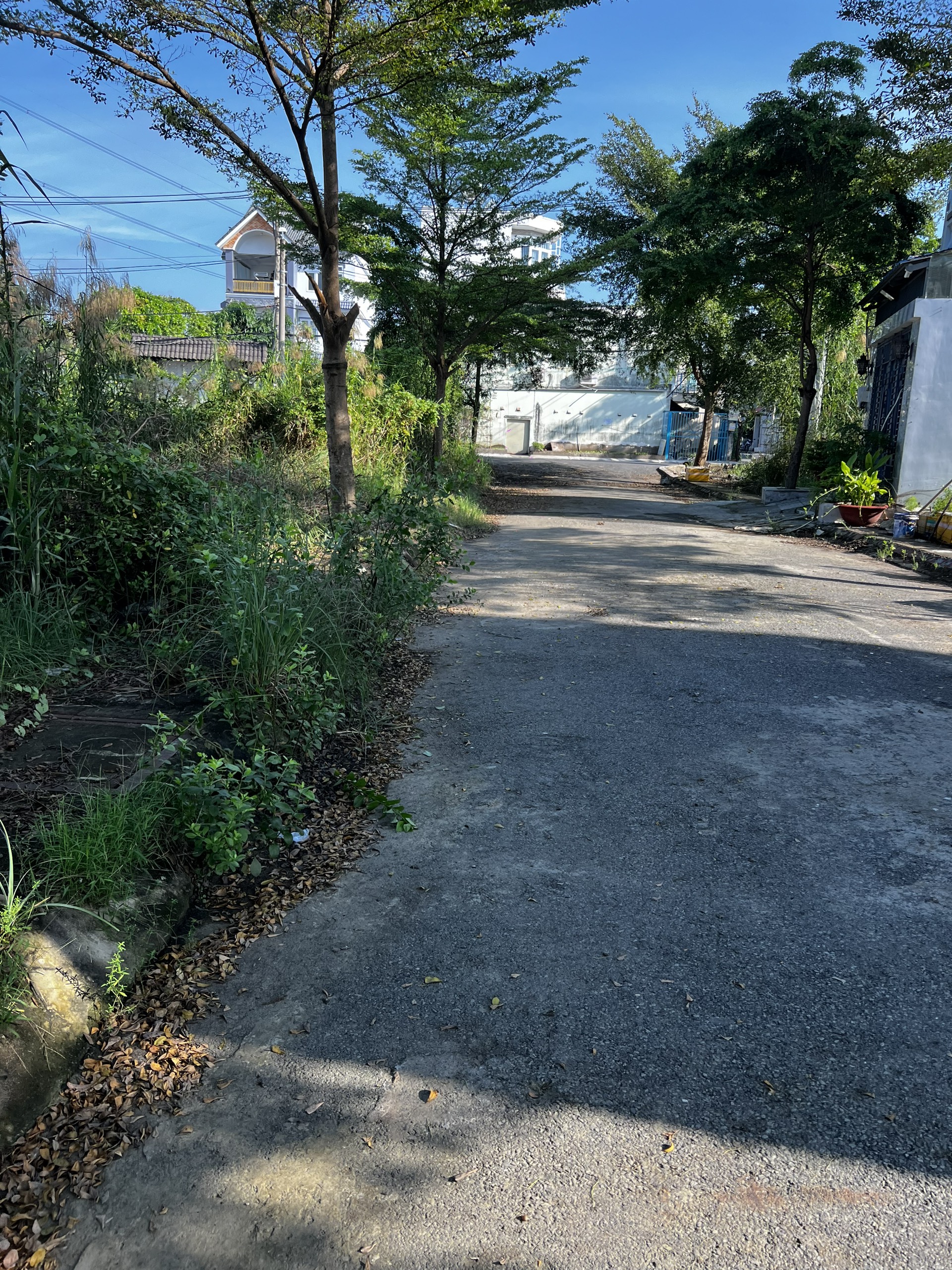 z5988068389540_0f372e574949ddbacf88ce1e546b0bee