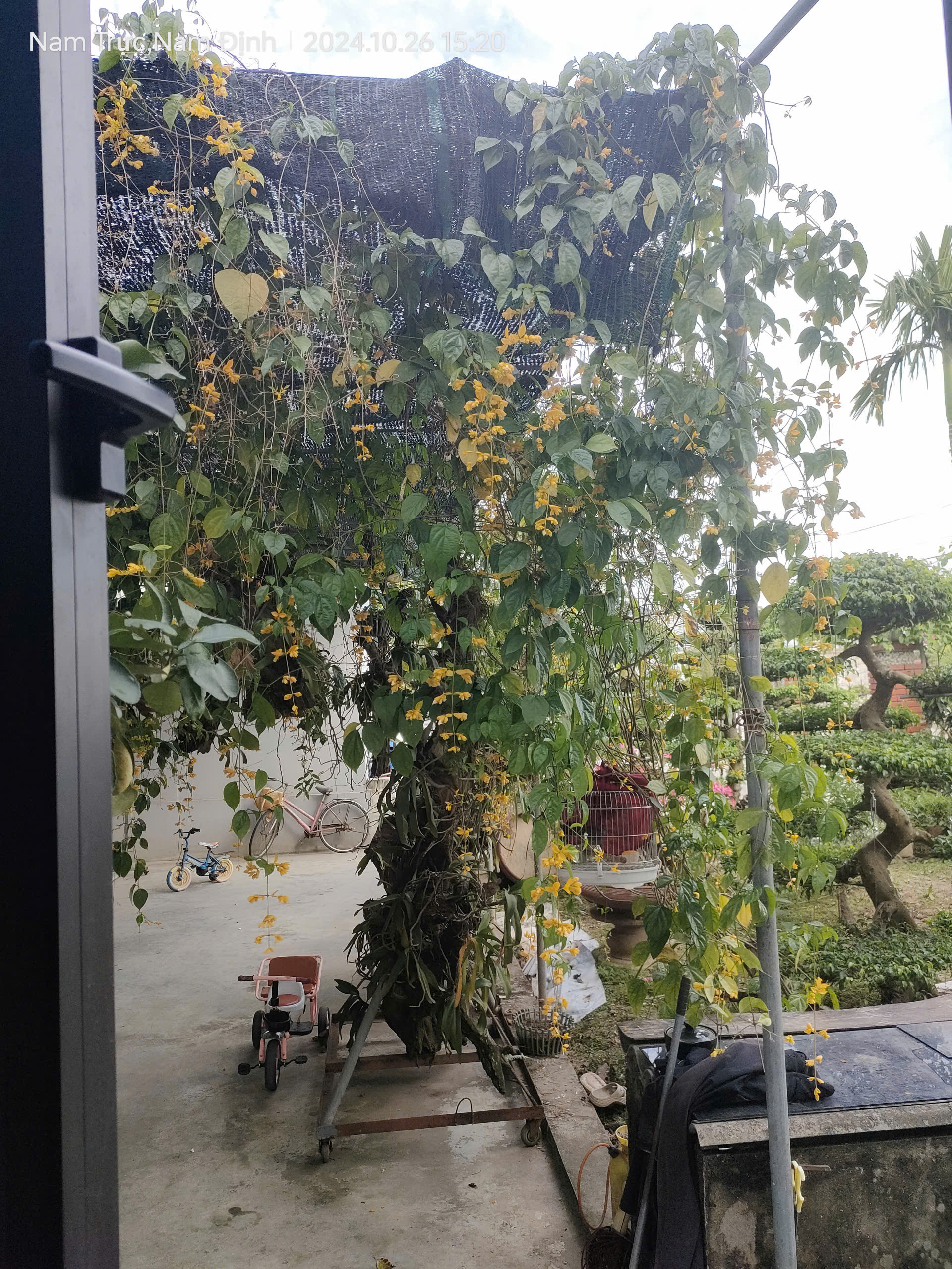 z6214031935524_20fe22f80858bb2ce077534b88caef93