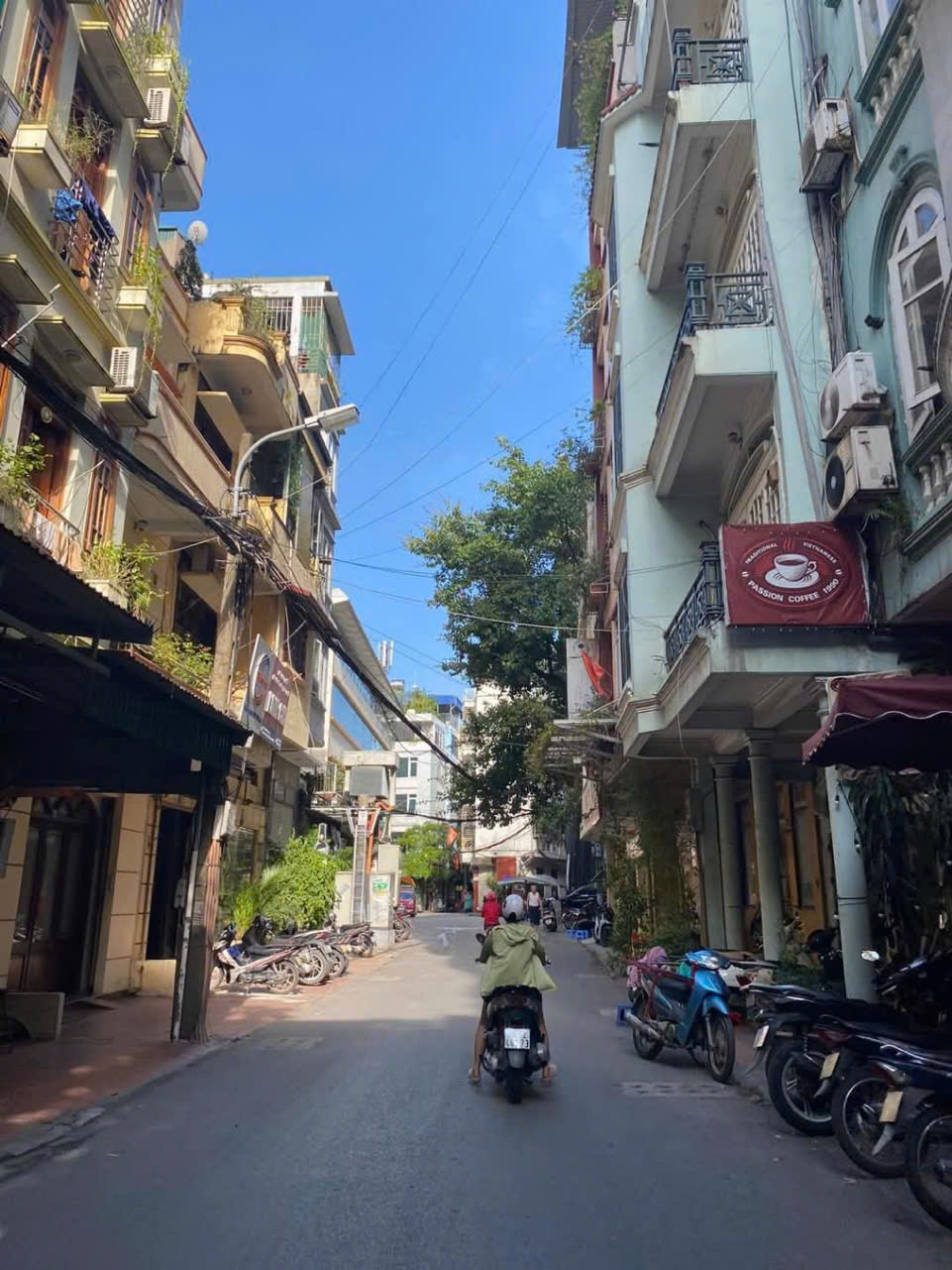 z6386662653655_bde8cb0092ff219d01b4fe04bacd7dbb