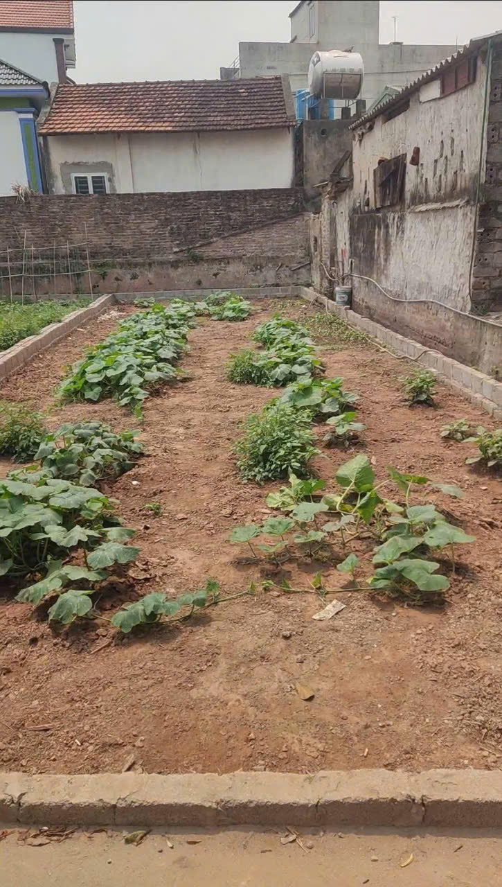 z6486926239688_5416105bbdd96368afada4f3958663ec