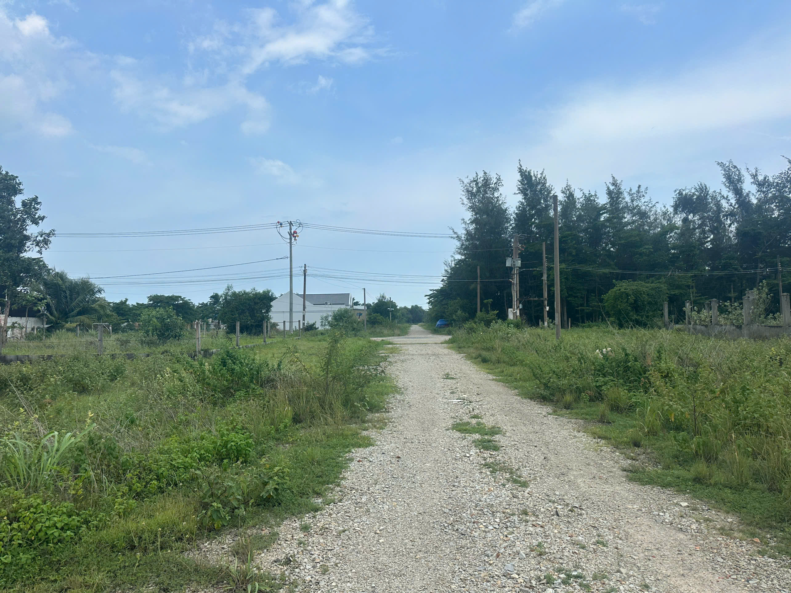 z6813661388906_27c6df9ddbe6355aca2fda9a54e83499