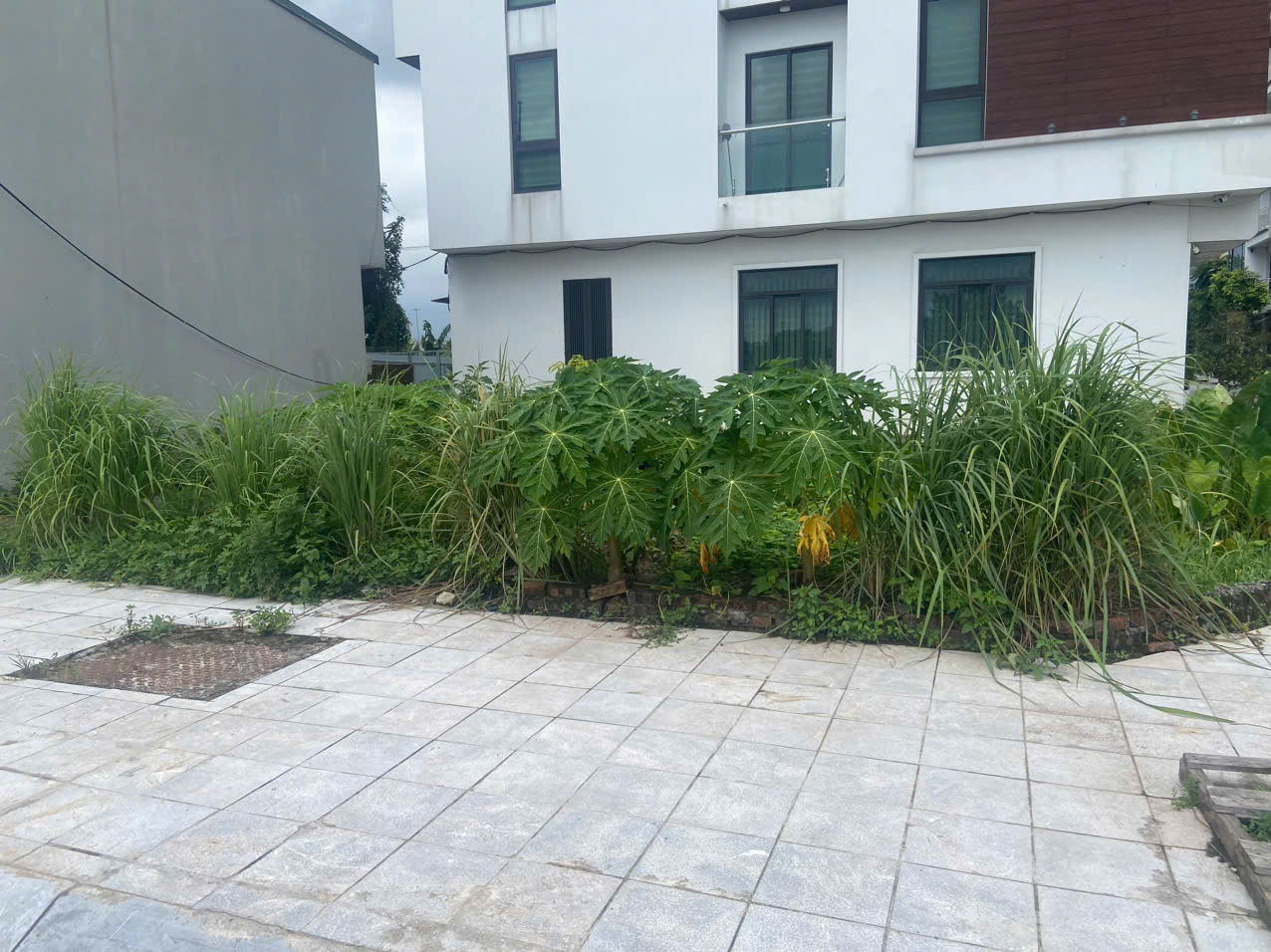 z6836469805231_ea1ceb2b29e52b94ded2c6c47978549c