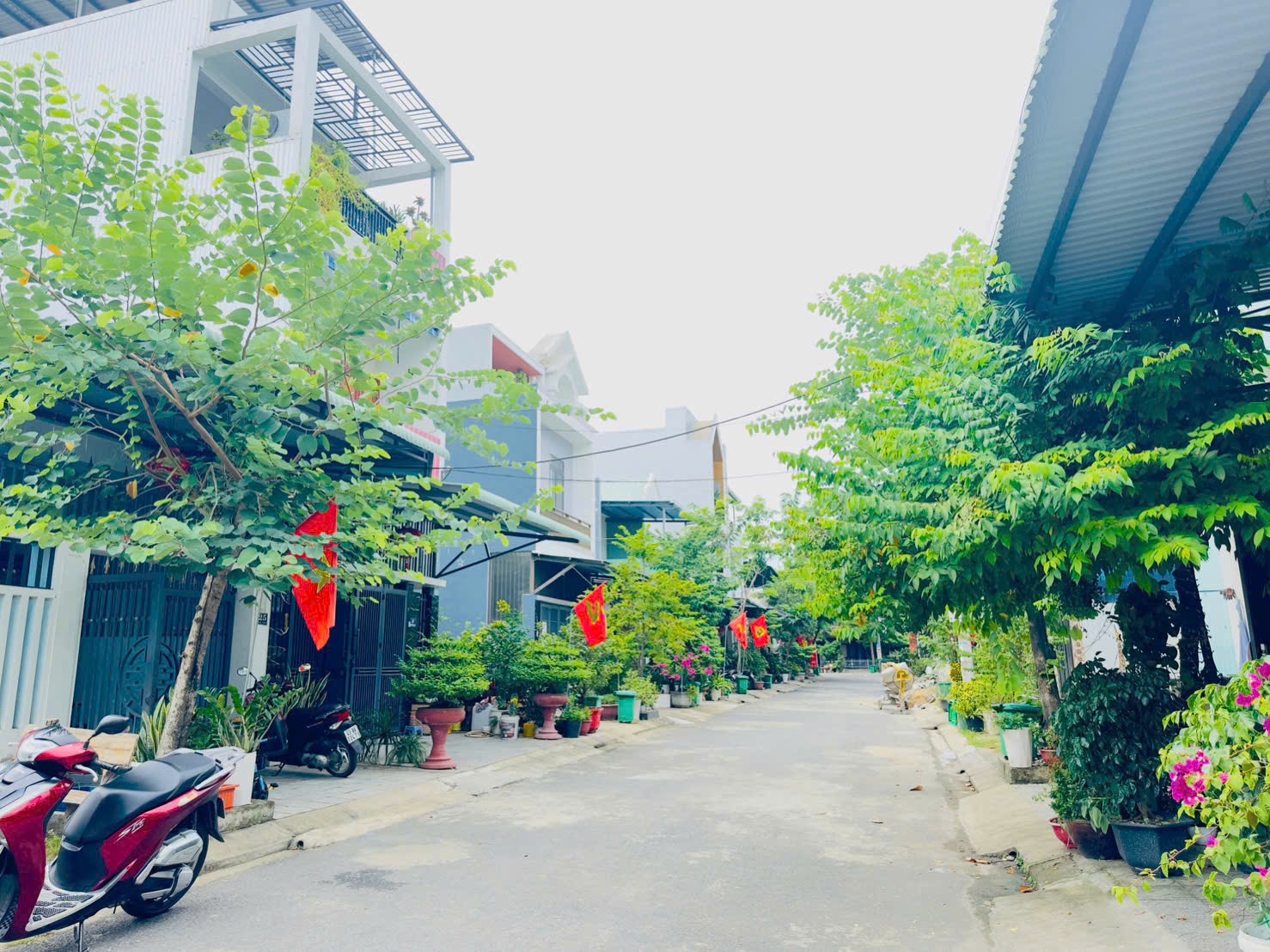 z6856016773056_cd506da98745d177fa1bed5b3ec1d347