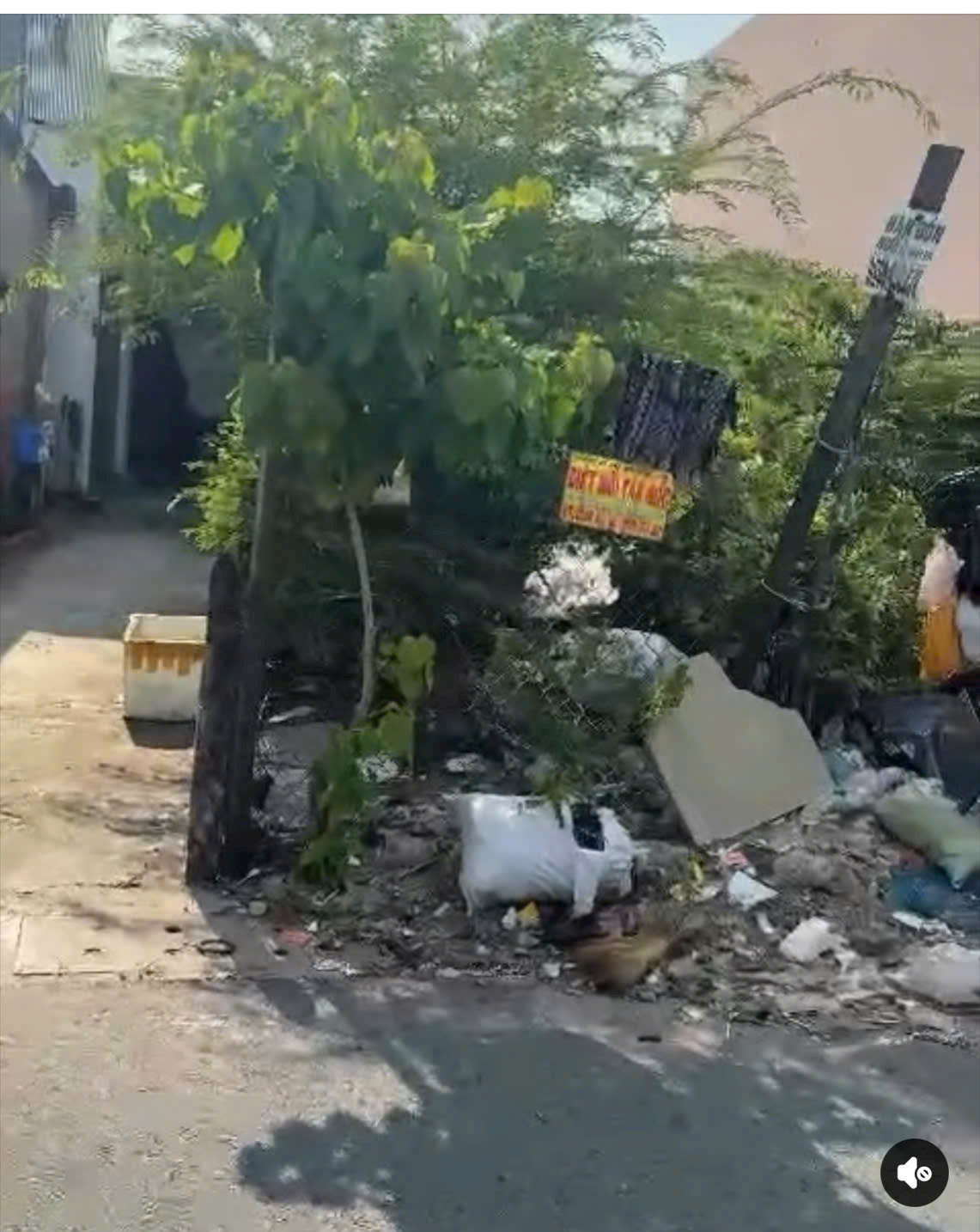 z6915160384053_46b79aec383d4ad8b6503be107e95850