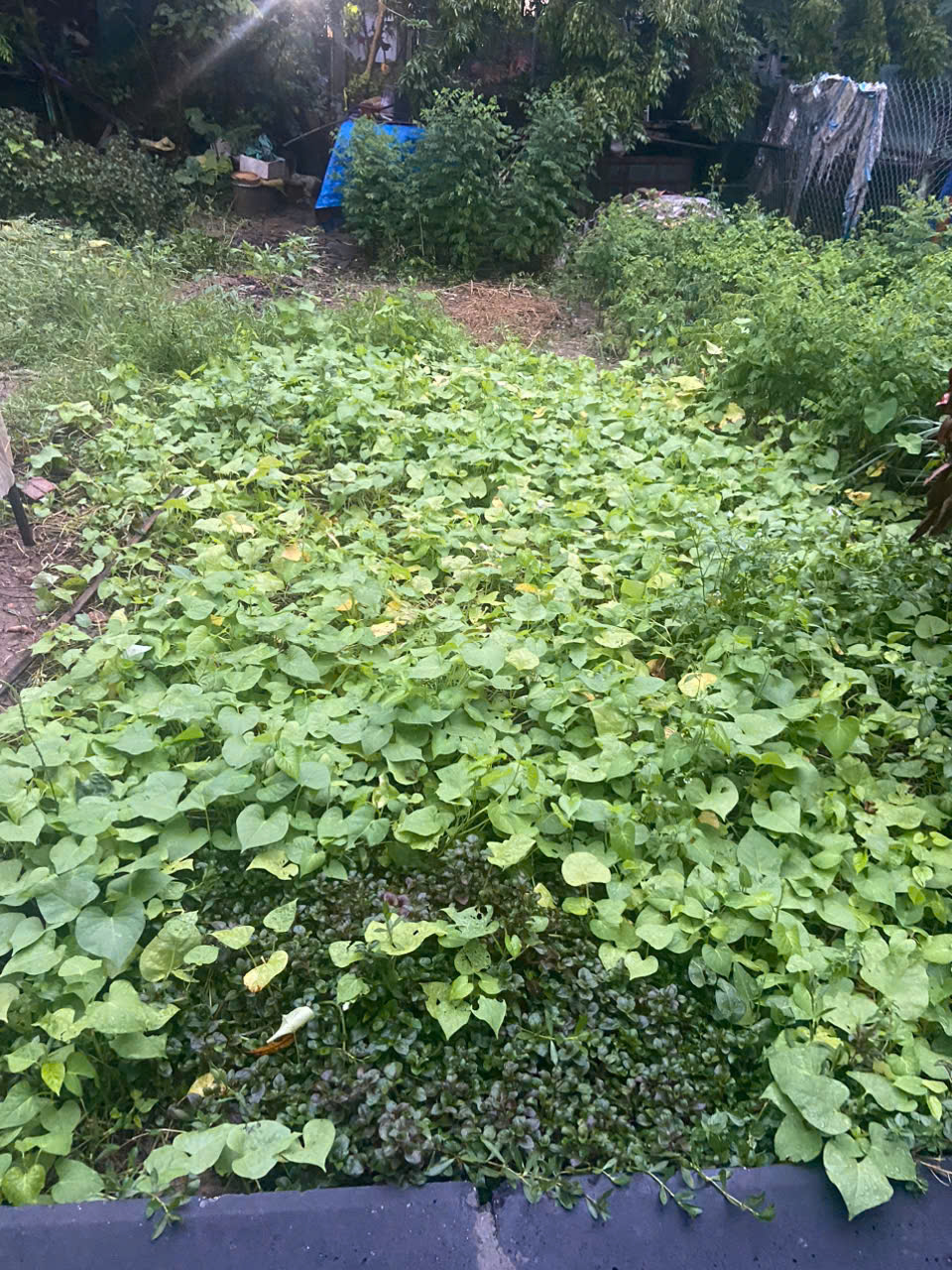 z6921301823733_c04f859ace8a06bc26621e94f73736d9