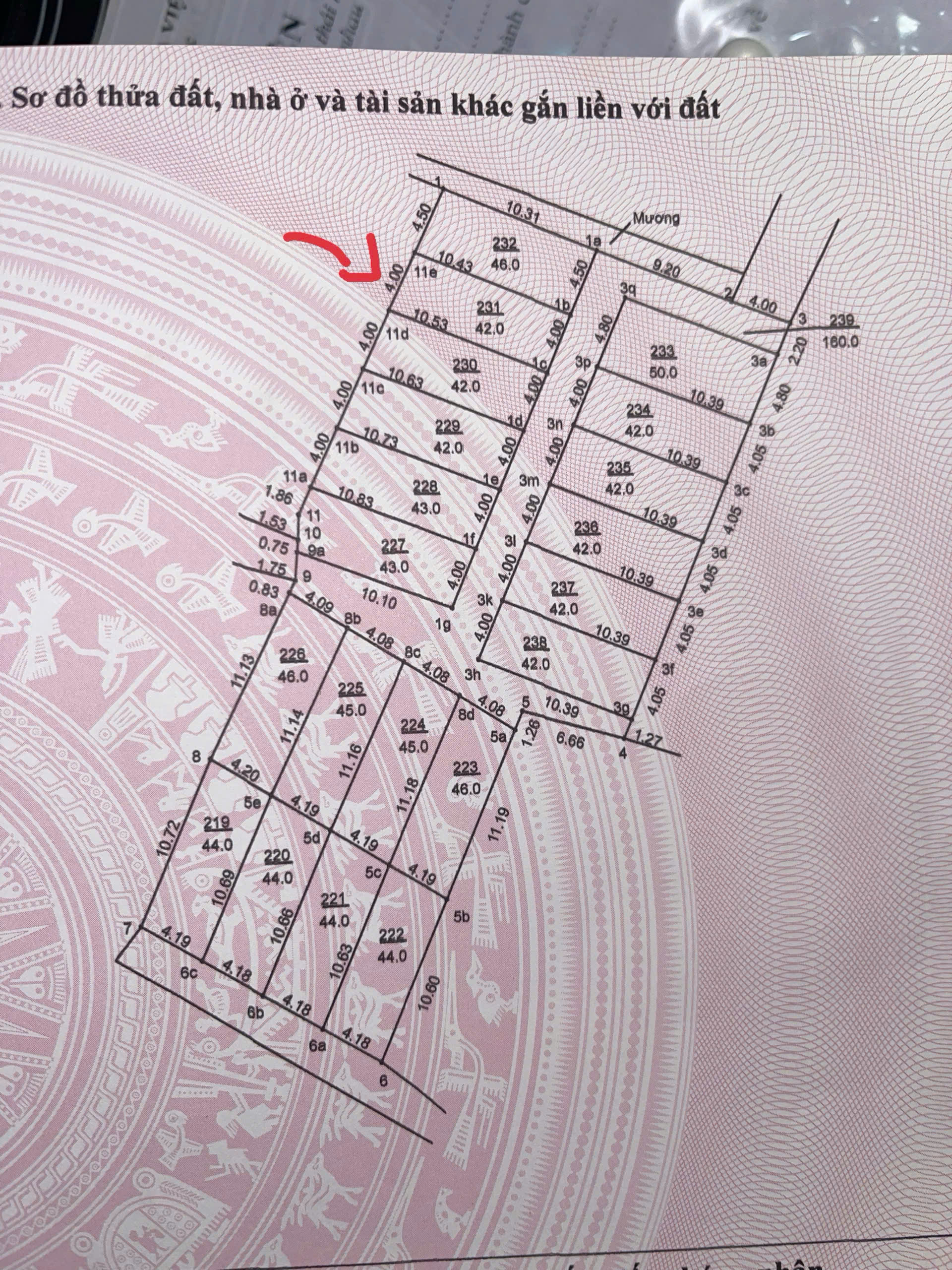 z6921358082980_5cf0848fc3c97485ac74737f7c3cec09