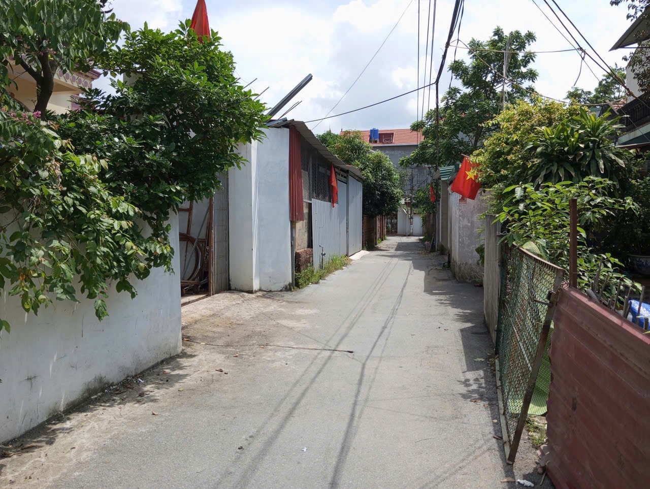 z6925423501424_a6bf7ba60fbdf607fa17f57781ad1ef8