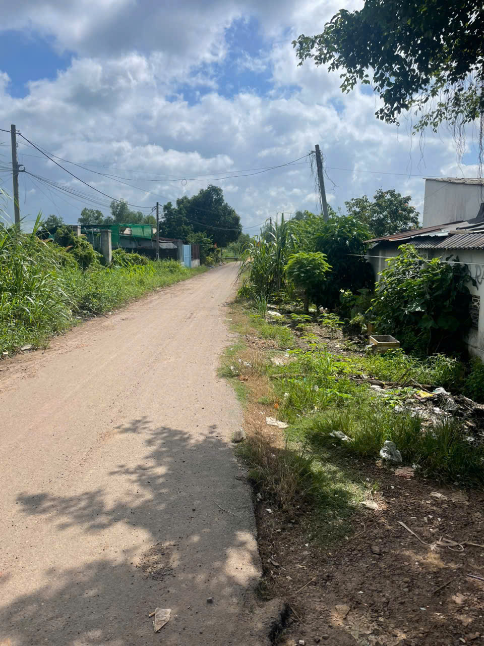 z6962973083774_945be1aa6635733af55f9ba833963d68