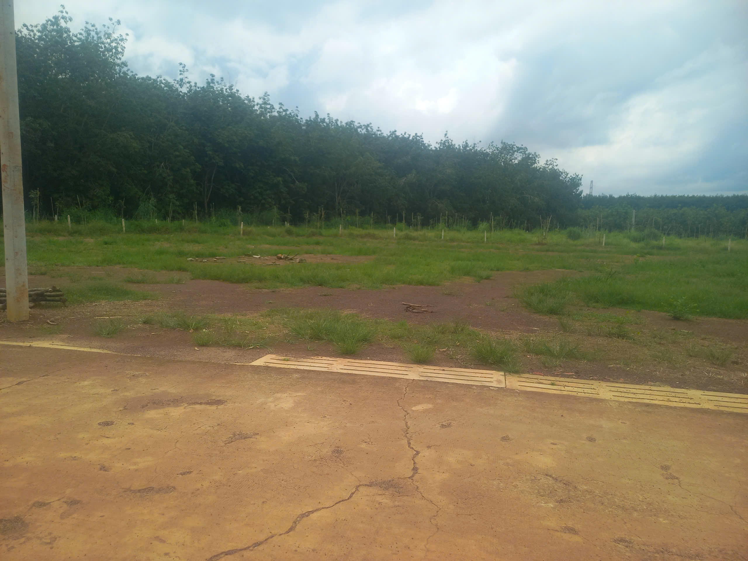 z6972254554471_f3a6534d6151a15cce50d31f7c6037b1