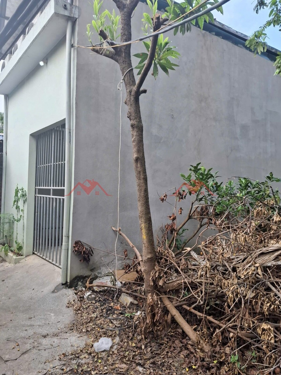 z6972674077915_c1334d0b33ab6c2f3f4fbe9804567fe0