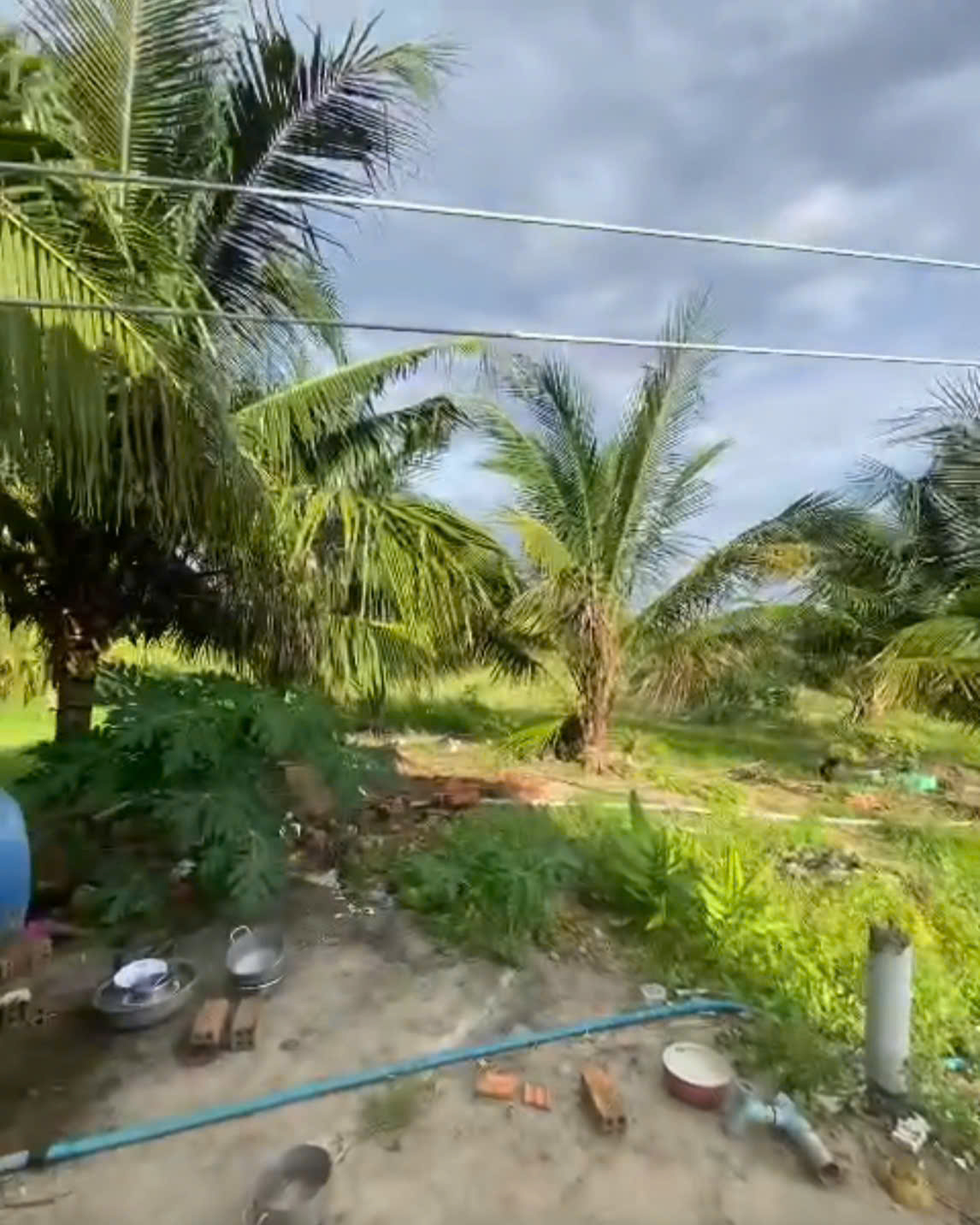 z6976816726905_a9a5a143170ee28862abeb6be850ae17